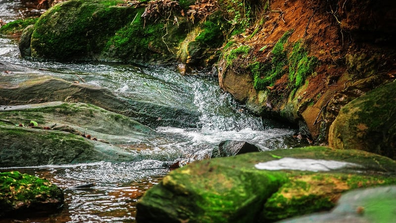 Bubbling Streams