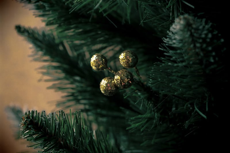 Evergreen Wonders