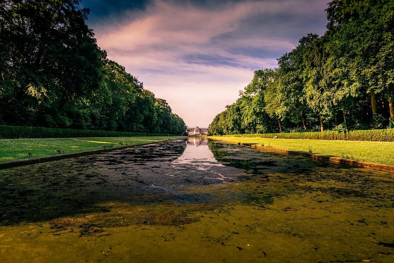 Reflecting Ponds