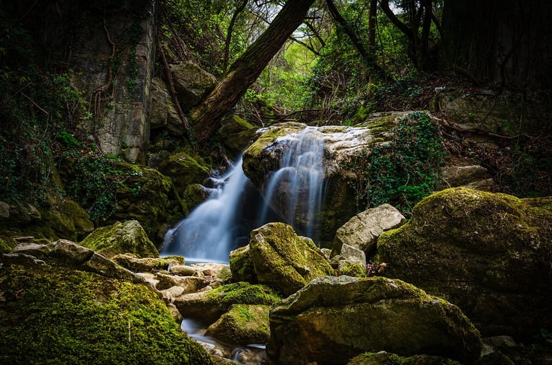 Bubbling Stream